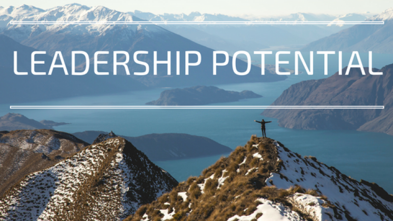 Your leadership potential