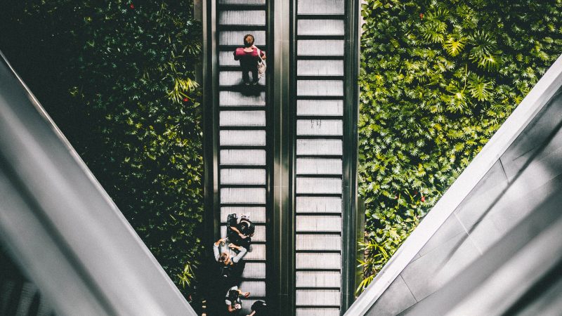 Why you need a mentor and how to get one