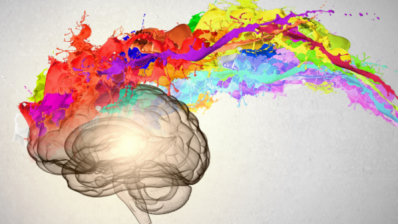 The Diversity Dilemma: Why a new approach is needed for real inclusion